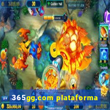 365gg.com plataforma